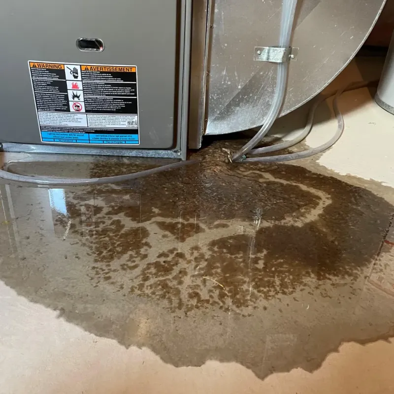 Appliance Leak Cleanup in Nezperce, ID