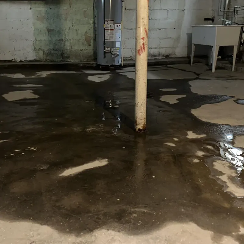 Emergency Water Extraction And Removal in Nezperce, ID